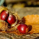 Confettura di castagne