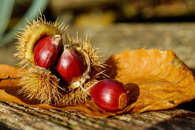 Confettura di castagne