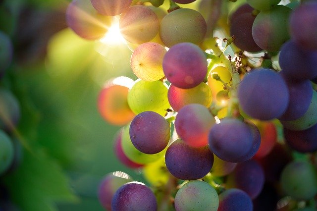 Vini Naturali Triple A di Agricoltori, Artigiani e Artisti