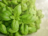 basilico come conservarlo - Perledigusto.it