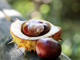 come fare le castagne al forno - Perledigusto.it