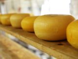 stagionatura del formaggio - Perledigusto.it
