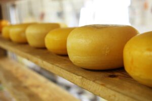 stagionatura del formaggio - Perledigusto.it