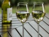 Comprare vino online: la classifica dei migliori ecommerce