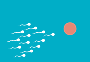 dieta chetogenica e fertilità - Perledigusto.itå