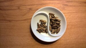 insetti commestibili - Perledigusto.it