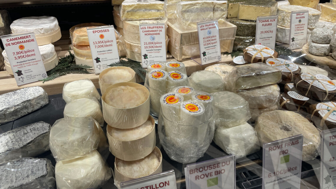 Formaggi e latticini