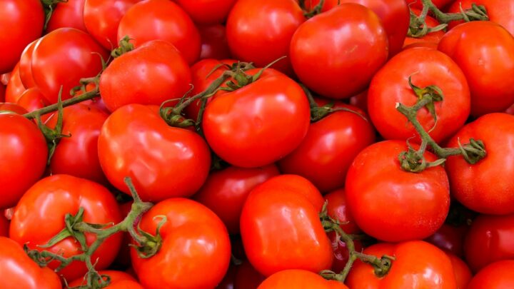 Pomodori senza nichel e istamina: un’alternativa deliziosa e salutare