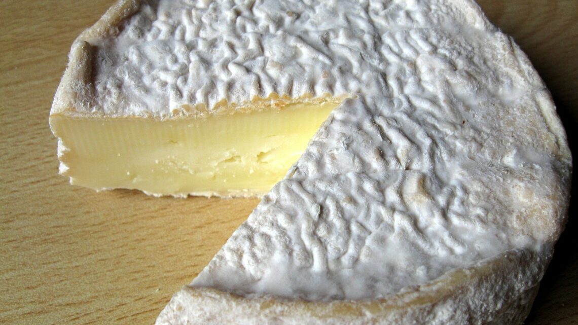 Murazzano DOP