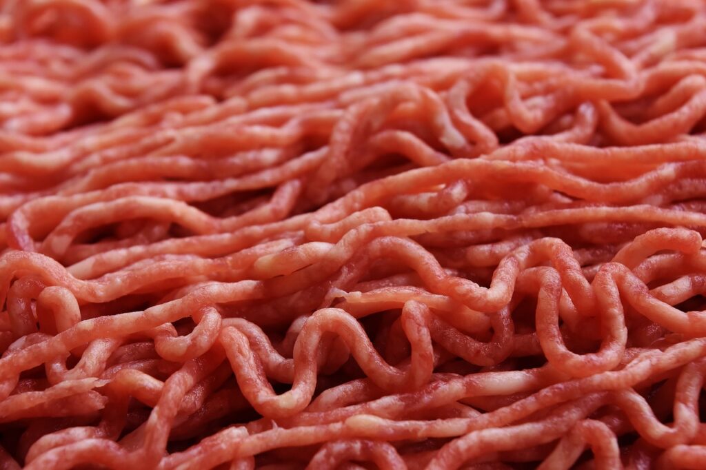 carne sintetica in Italia - PerlediGusto.it