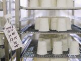 la ricotta non è un formaggio - Perledigusto.it