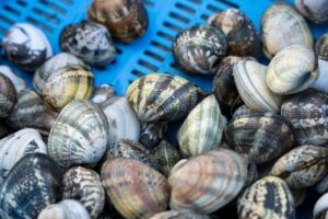 i molluschi sono grassi - Perledigusto.it