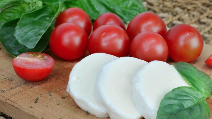 Formaggio magro per dieta, quale scegliere?