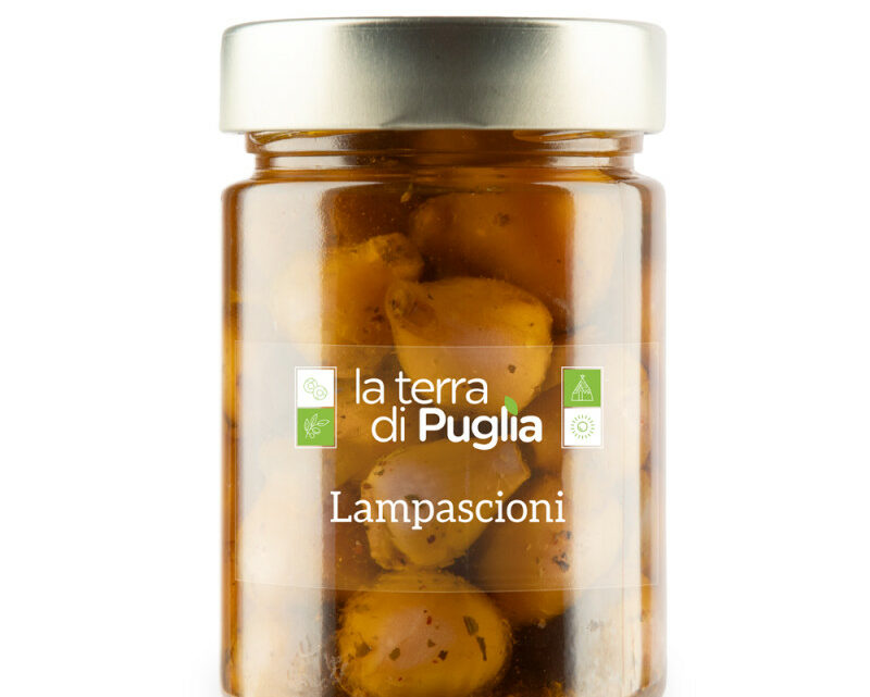 I lampascioni pugliesi