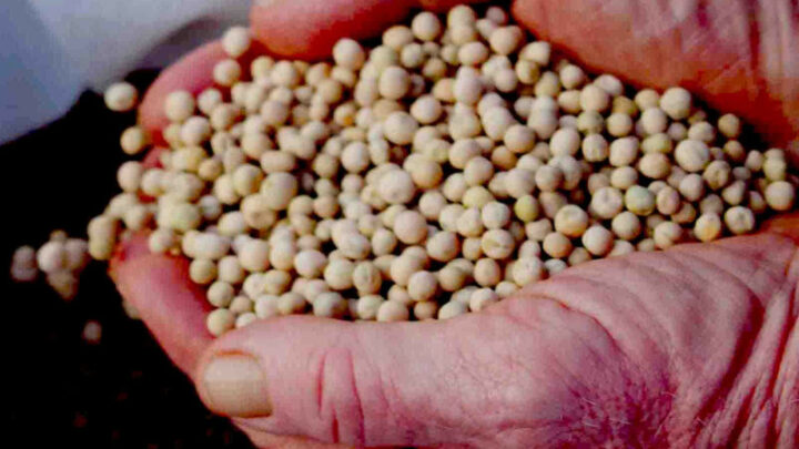 Prodotti italiani che devi conoscere nel 2026 (e come usarli in cucina)