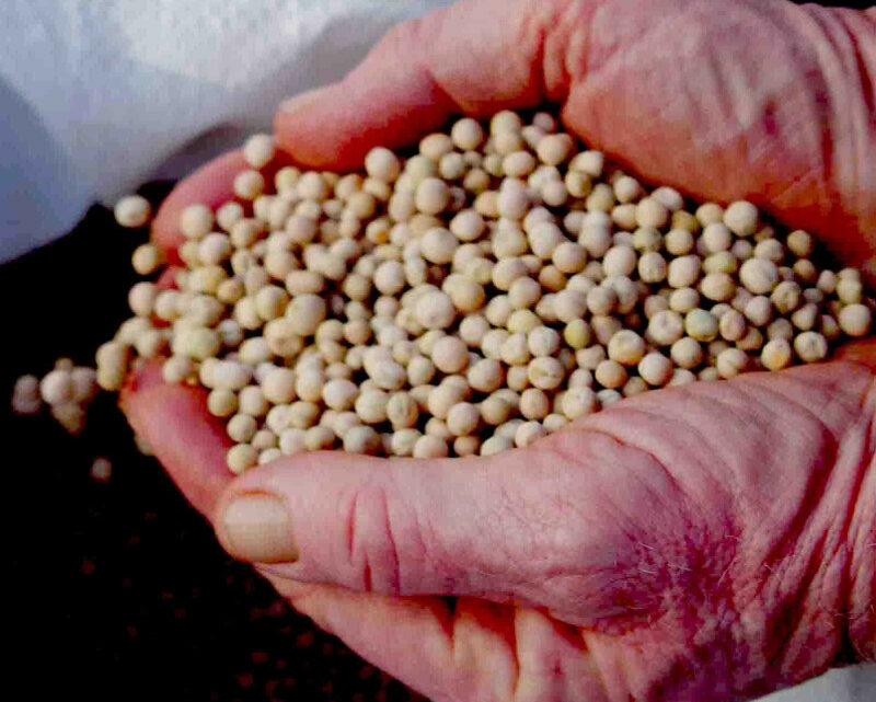 Prodotti italiani che devi conoscere nel 2026 (e come usarli in cucina)